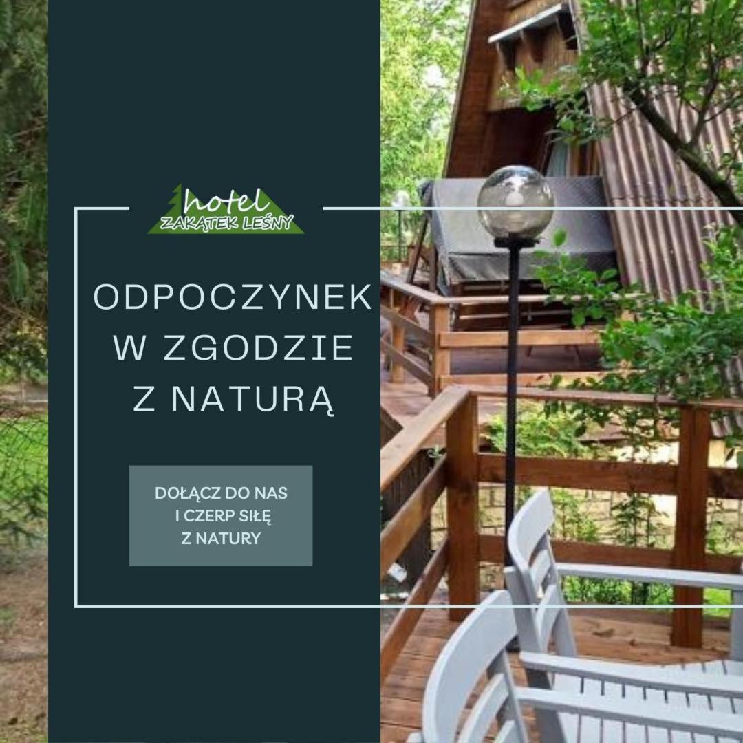 שירפיצ'ה Hotel Zakatek Lesny מראה חיצוני תמונה